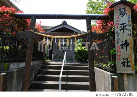 琴平神社 77872580
