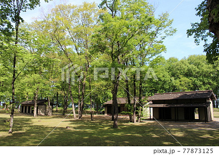 飛山城 飛山城 77873125