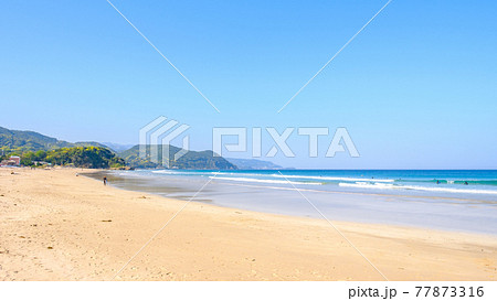伊豆白浜の海(白浜大浜海水浴場) 伊豆白浜の海(白浜大浜海水浴場) 77873316