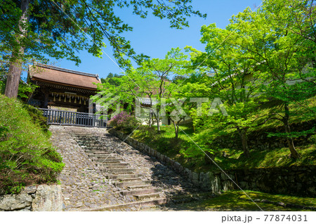 京都 毘沙門堂門跡の新緑 京都 毘沙門堂門跡の新緑 77874031