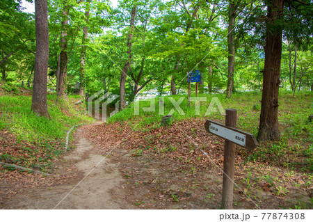 春　蓬莱島公園の景色 77874308