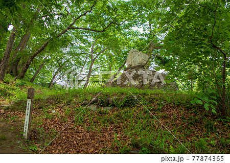 春　蓬莱島公園の景色　金石渡し跡付近の水神宮碑 77874365