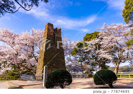 山口県萩市　満開の桜をバックの萩反射炉 77874695