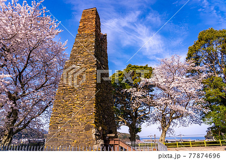 山口県萩市　満開の桜をバックの萩反射炉　向こうには日本海 77874696
