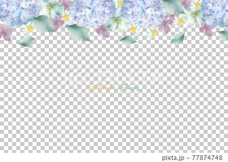 Frames of various pale flowers 77874748
