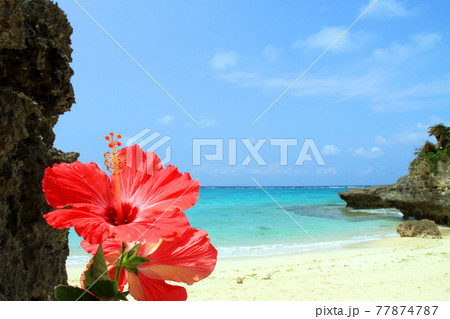 沖縄の美しい海とハイビスカス　 77874787