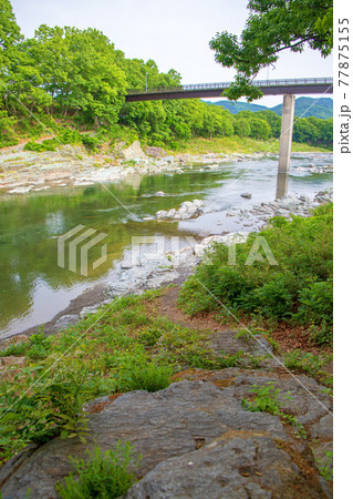 春 荒川 蓬莱島公園 金石渡し跡付近からの景色 春 荒川 蓬莱島公園 金石渡し跡付近からの景色 77875155