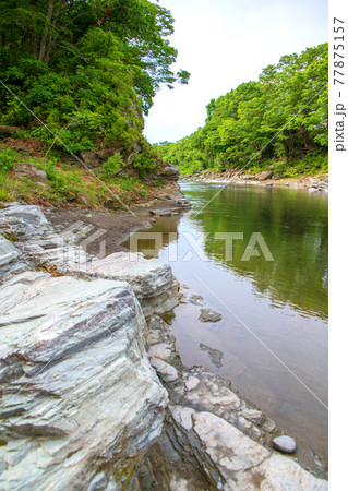 春　荒川　蓬莱島公園　金石渡し跡付近からの景色 77875157