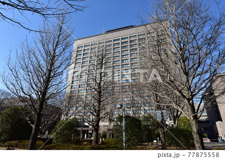 仙台市にある宮城県庁と宮城県議会庁舎 仙台市にある宮城県庁と宮城県議会庁舎 77875558
