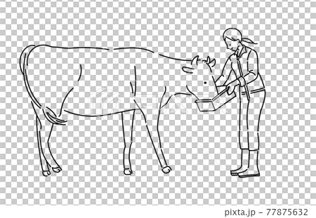 農業女子　酪農女子　酪農　女性　イラスト　牛乳　白黒　モノクロ 77875632