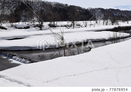 豪雪地域の雪溶け風景 豪雪地域の雪溶け風景 77876954