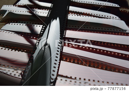 写真 ネガフィルム 写真 ネガフィルム 77877156