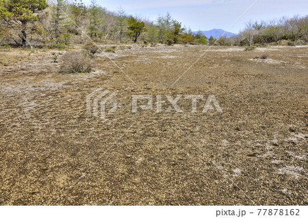 三国山稜　アザミ平より三ツ峠山を遠くに望む 77878162