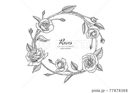 Roses Flower And Leaf Hand Drawn Botanical のイラスト素材