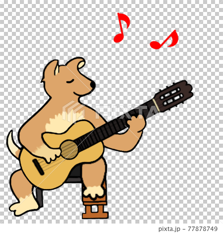 演奏古典吉他音樂的狗 77878749