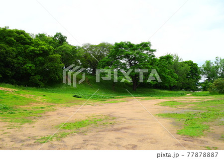 津堂城山古墳【世界遺産】 77878887