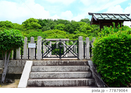 仲ツ山古墳【世界遺産】 仲ツ山古墳【世界遺産】 77879064