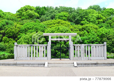 仲ツ山古墳【世界遺産】 仲ツ山古墳【世界遺産】 77879066