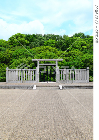 仲ツ山古墳【世界遺産】 77879067