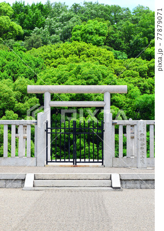 仲ツ山古墳【世界遺産】 仲ツ山古墳【世界遺産】 77879071
