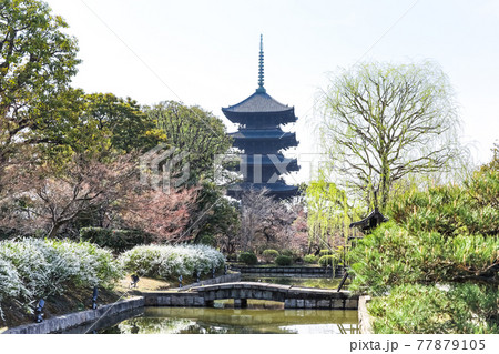 東寺五重塔 77879105