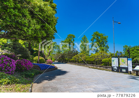東京の都市風景 日比谷公園入口周辺の風景 東京の都市風景 日比谷公園入口周辺の風景 77879226