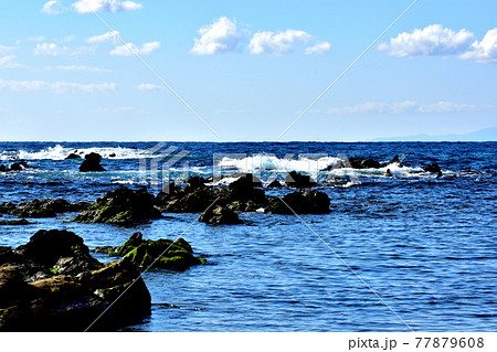 荒崎海岸 荒崎海岸 77879608