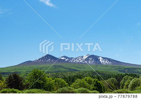 【青森県八甲田山】新緑と残雪が印象的な萱野茶屋高原から望む八甲田山 【青森県八甲田山】新緑と残雪が印象的な萱野茶屋高原から望む八甲田山 77879788