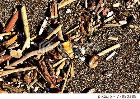 海洋汚染　プラスチックゴミ 77880389