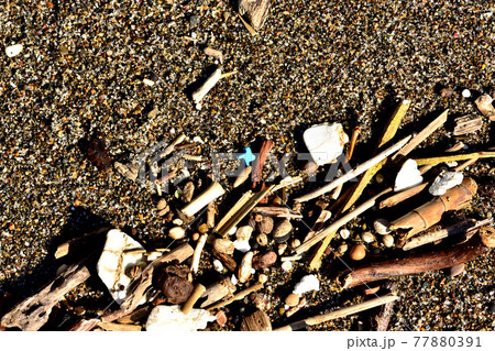 海洋汚染 プラスチックゴミ 海洋汚染 プラスチックゴミ 77880391