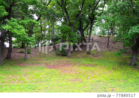 大鳥塚古墳【世界遺産】 77880517