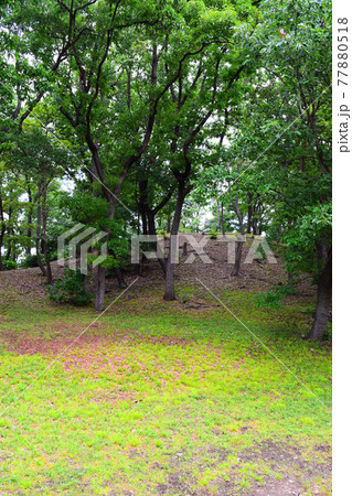 大鳥塚古墳【世界遺産】 77880518