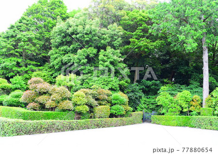 誉田丸山古墳【世界遺産 77880654