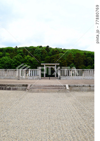 誉田御廟山古墳【世界遺産】 77880769