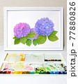 額縁に入った水彩画　3本の紫陽花　カラフル　写真 77880826