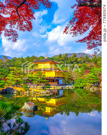 紅葉と金閣寺 紅葉と金閣寺 77880974