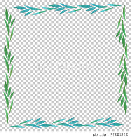 Watercolor colorful tropical plant square 04 77881228