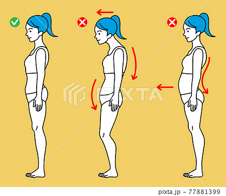 女性 3パターンの姿勢 全身図 側面 女性 3パターンの姿勢 全身図 側面 77881399