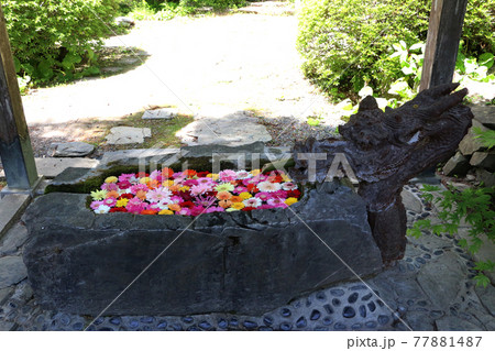 登米市柳津虚空蔵尊、黄土山の黄金水 77881487