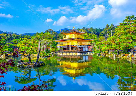 金閣寺（鹿苑寺）の景観 77881604