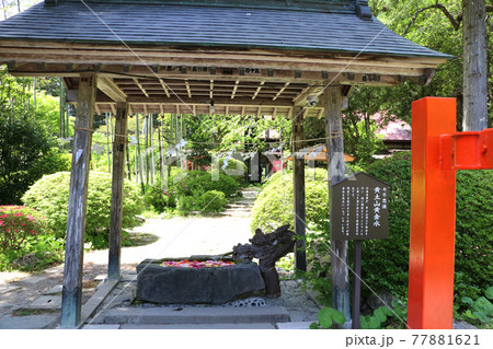 登米市柳津虚空蔵尊、黄土の黄金水 登米市柳津虚空蔵尊、黄土の黄金水 77881621