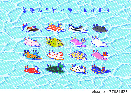 いろいろなウミウシのいる暑中見舞い 77881623