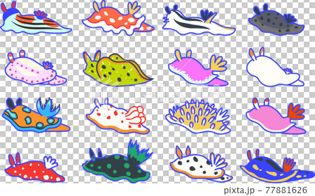 カラフルなウミウシのセット 77881626