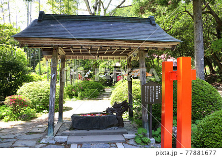 登米市柳津虚空蔵尊、黄土の黄金水 77881677