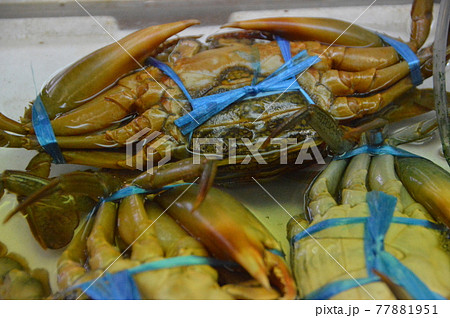 マングローブ・クラブ(ノコギリガサミ)（第一牧志公設市場／沖縄県那覇市） 77881951