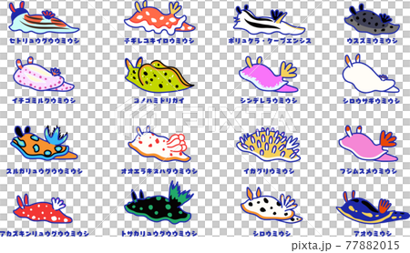 A set of various types of sea slugs 77882015