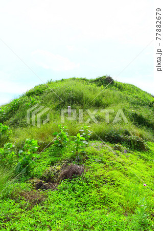 宮の南塚古墳 77882679