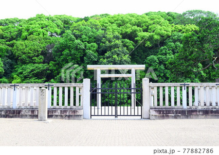 市ノ山古墳【世界遺産】 77882786