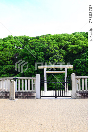 市ノ山古墳【世界遺産】 市ノ山古墳【世界遺産】 77882787