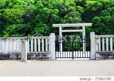 市ノ山古墳【世界遺産】 市ノ山古墳【世界遺産】 77882789